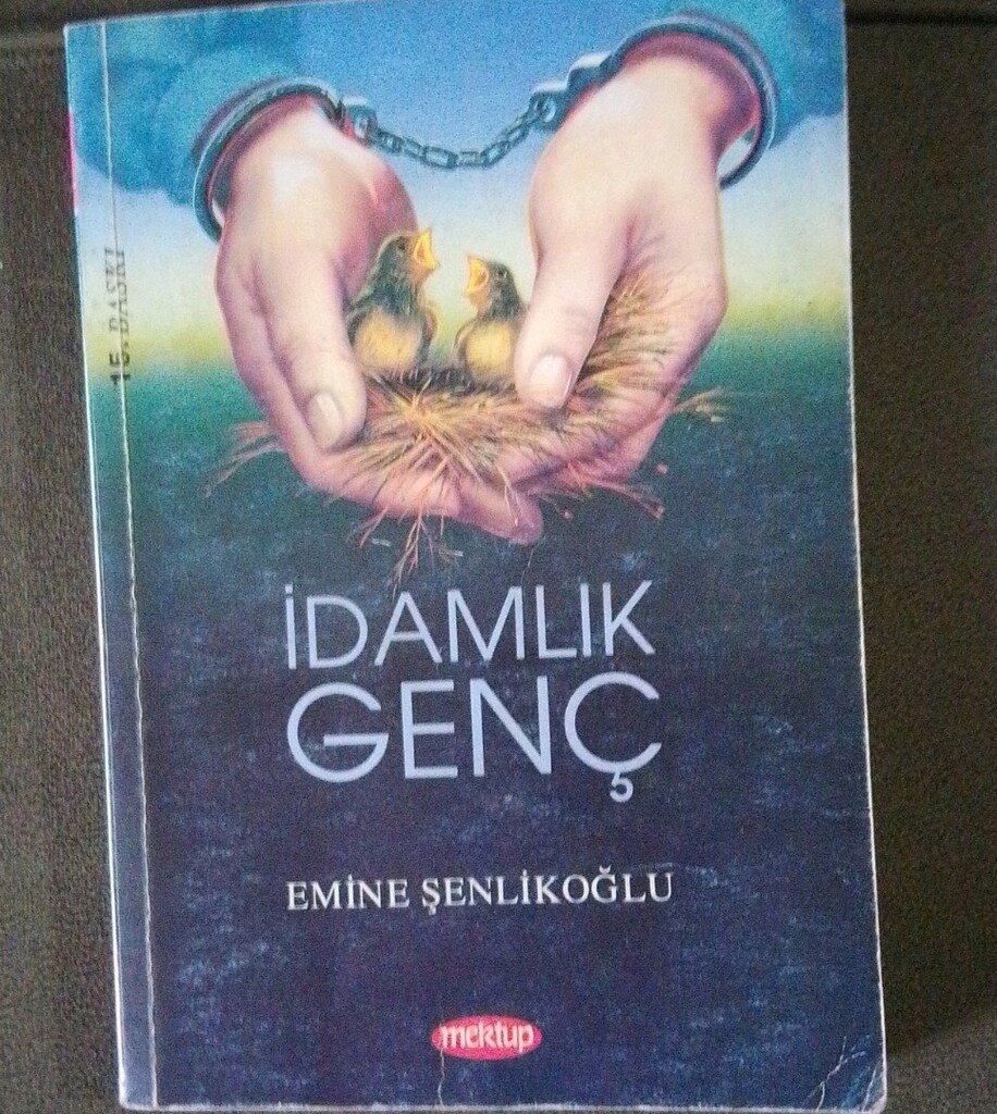 EMİNE ŞENLİKOĞLU KİTAPLARI - 2