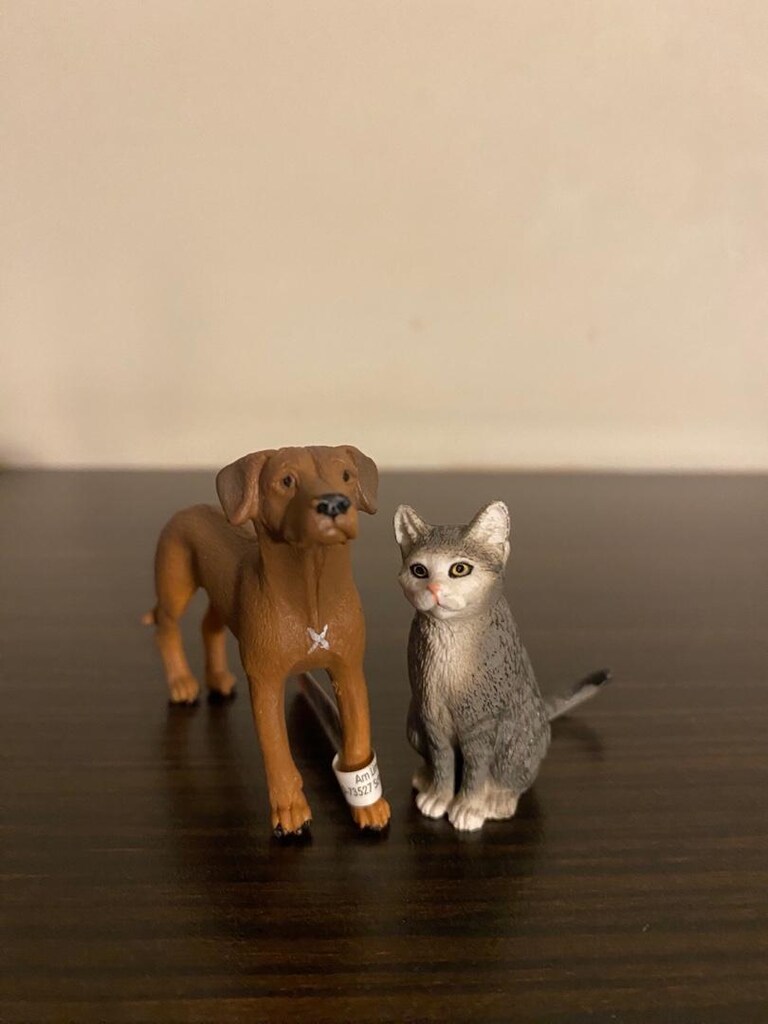 Schleich Kedi Köpek figür oyuncak - 2