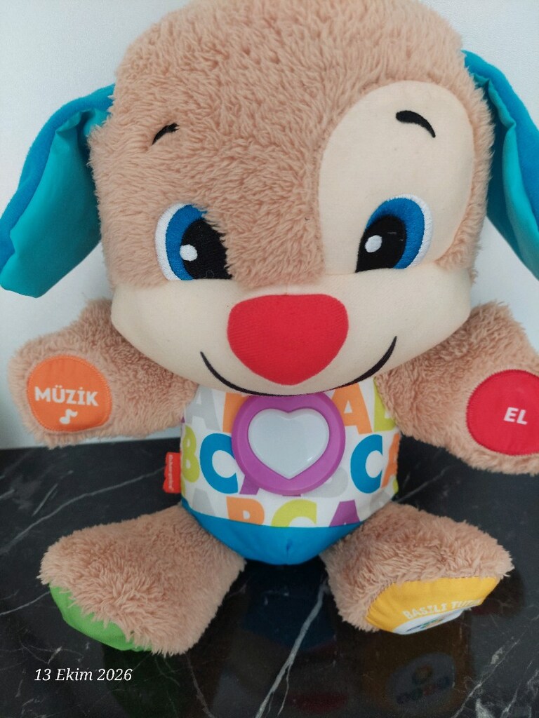 fisher prize eğitici köpek - 3