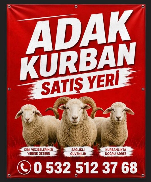 satış yeri