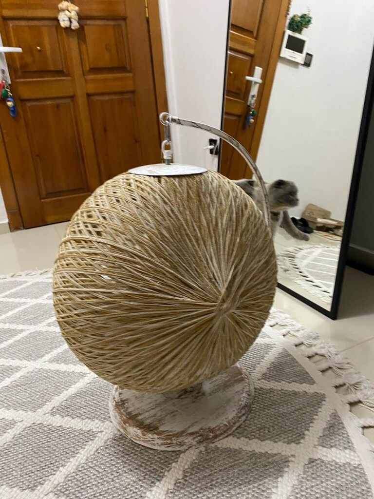 SALLANAN KEDİ HAMAĞI SIFIR GİBİ - 2