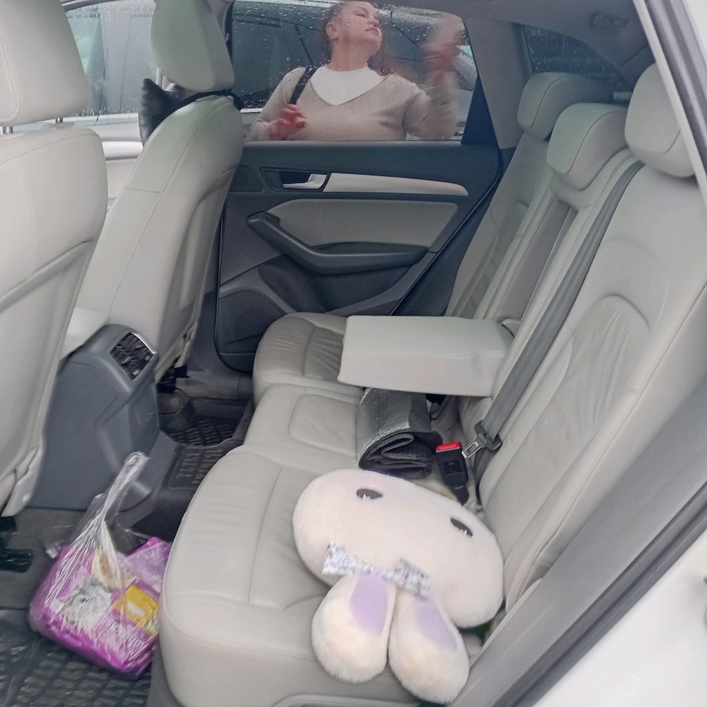 Beyaz Audi SUV - 7