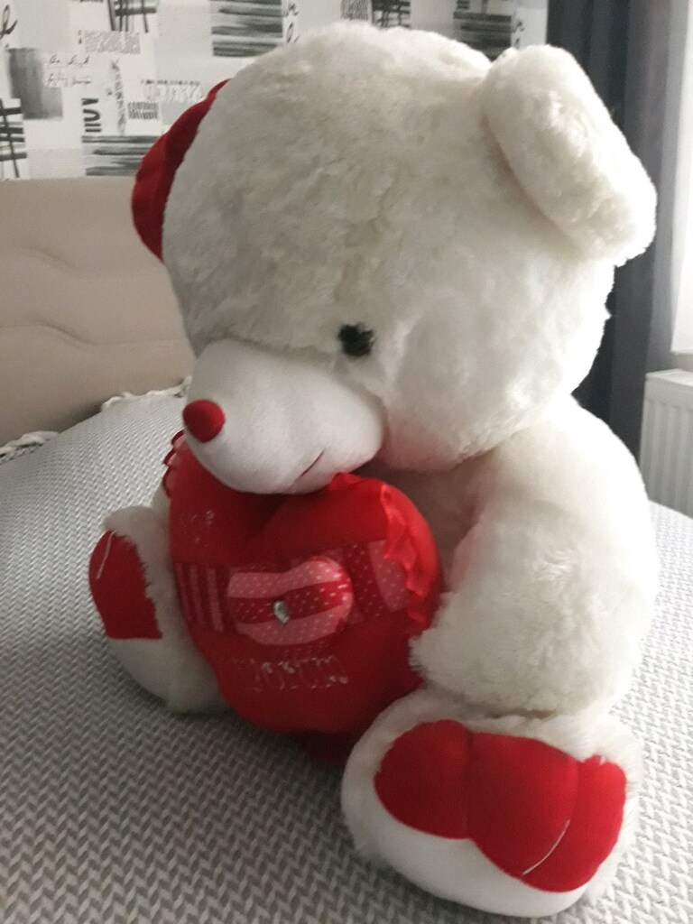 pelüş ayıcık büyük boy - 3