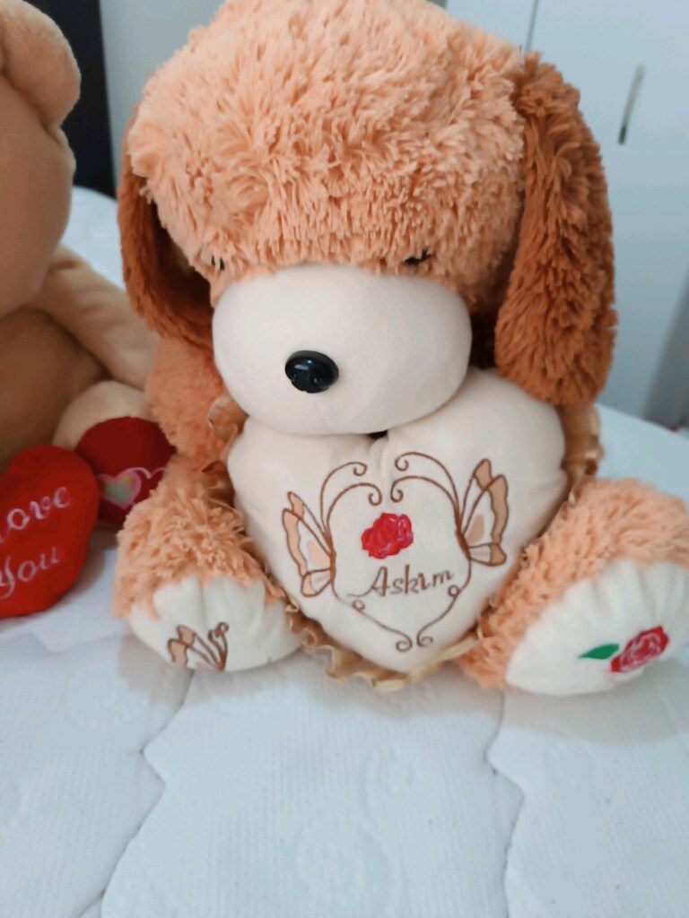 Sevimli renkli peluş ayıcıklar - 6