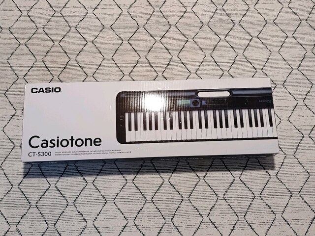 Casio S300