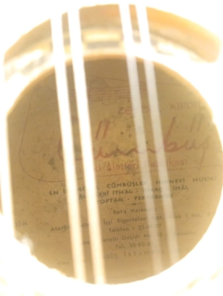 mandolin - 9