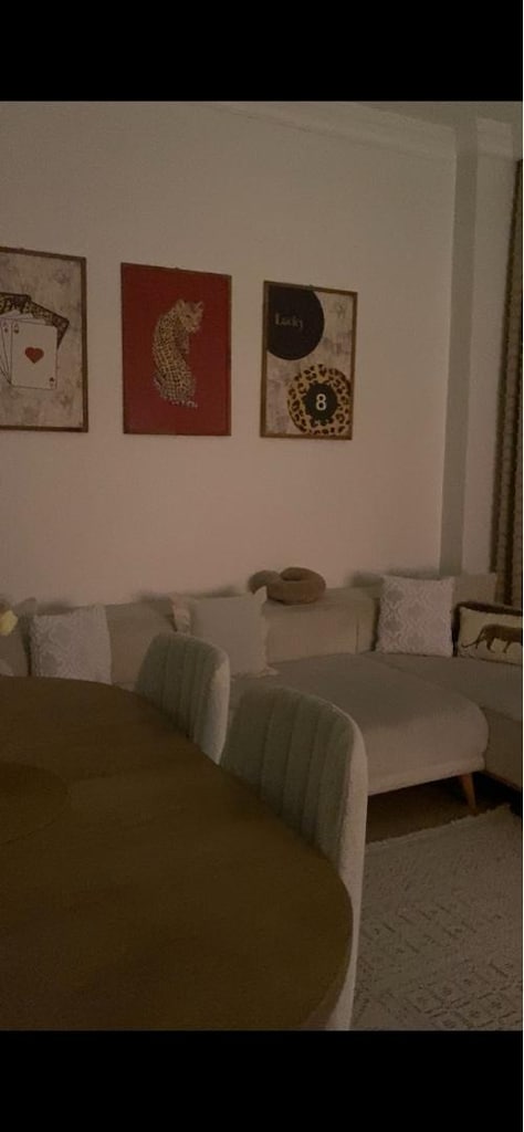 koltuk ve masa takımı - 3
