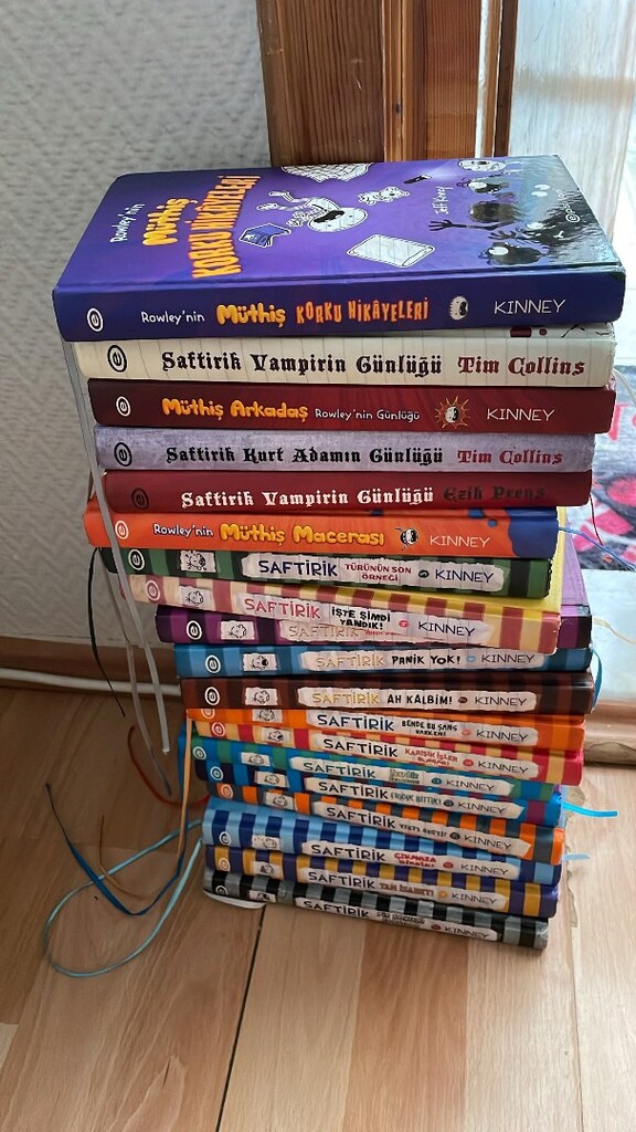 ADET FİYATIDIR saftirik kitap serisi detaylar açıklamada - 2