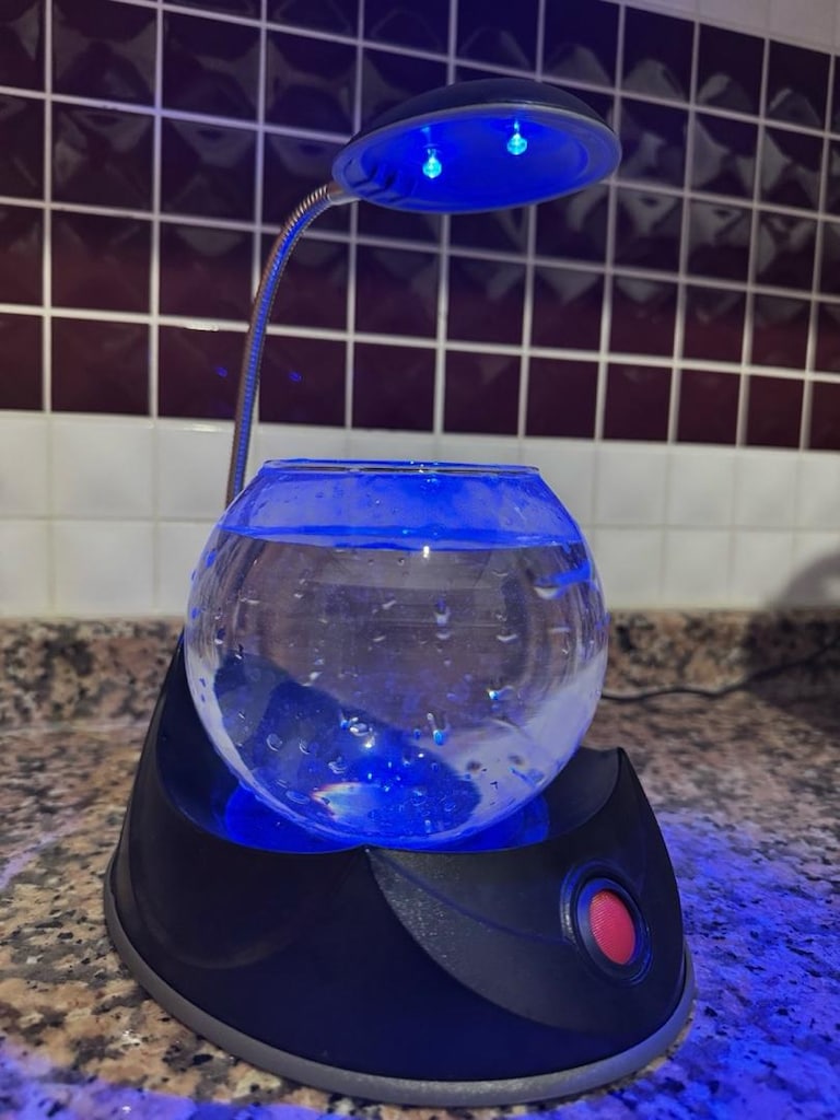 LED Işıklı Dekoratif Akvaryum Fanusu - 5