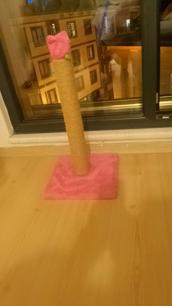 kedi oyuncağı - 3