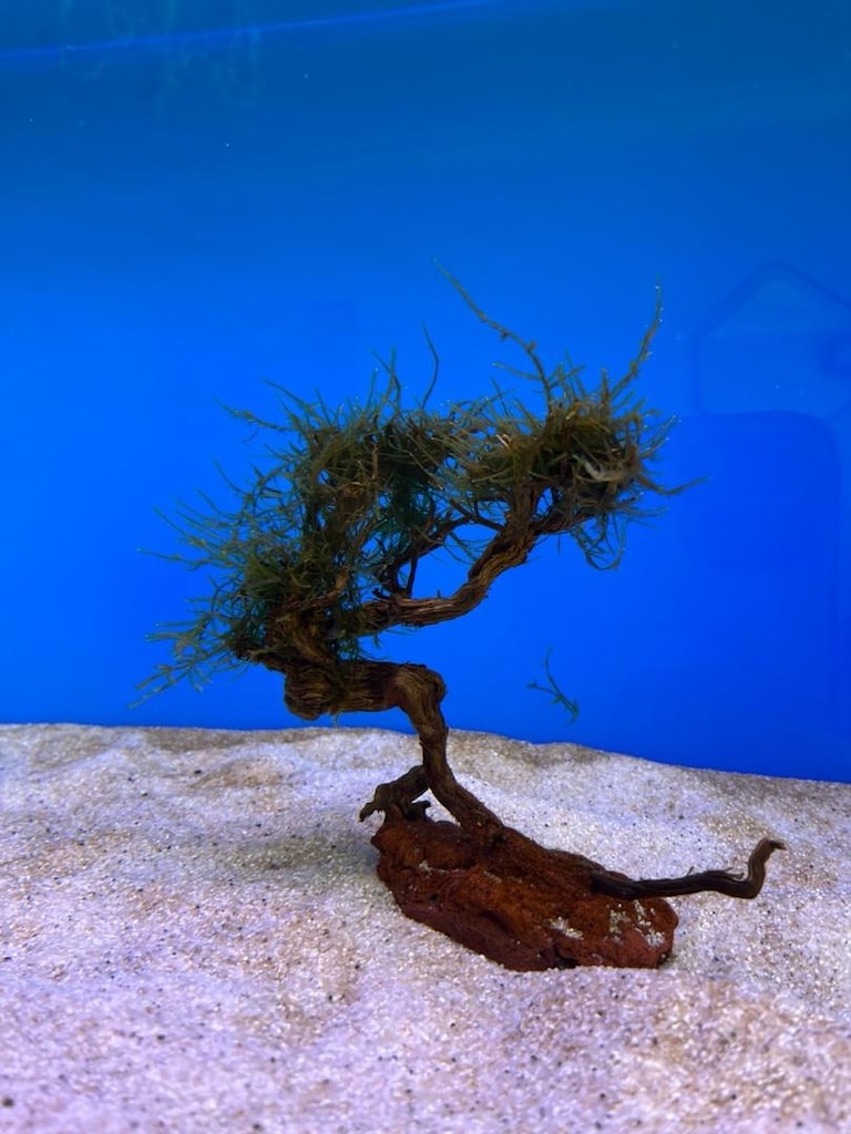 Akvaryum Christmas Moss Sarılı Ağaç Figür Dekor - 2