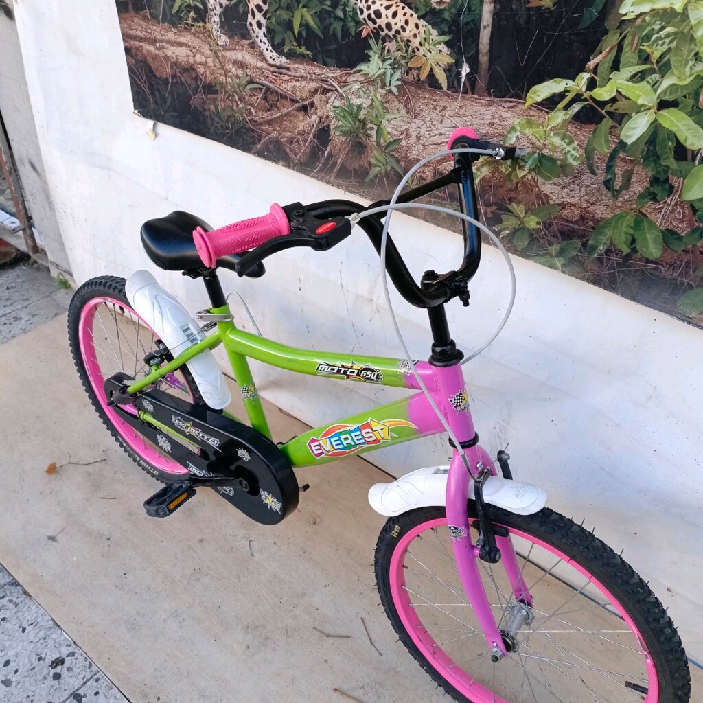 20" CANT KIZ ÇOCUK BİSİKLETİ - 13