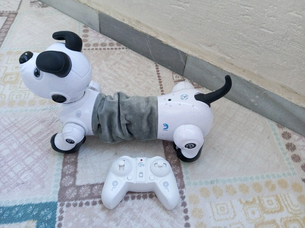 Robot köpek kumandalı - 8