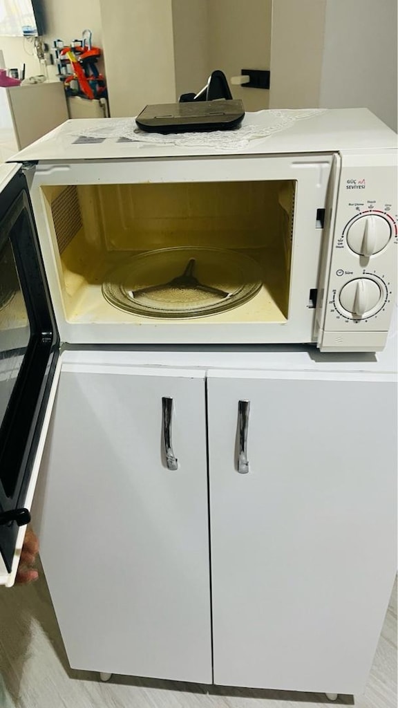mikro dalga