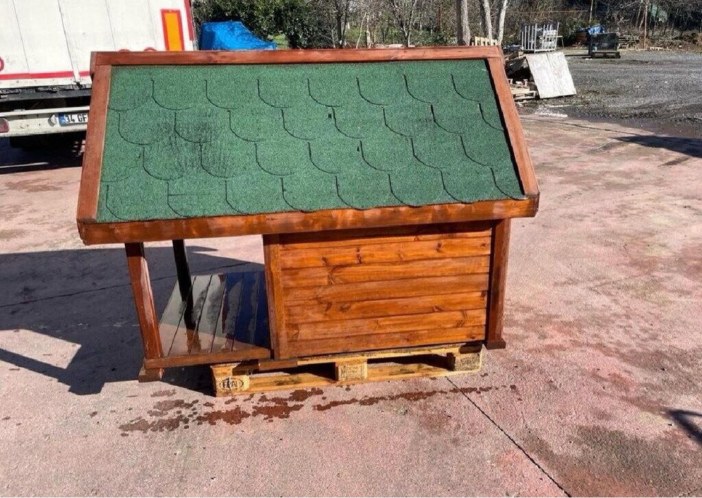 köpek kulübesi(özel yapım) - 4