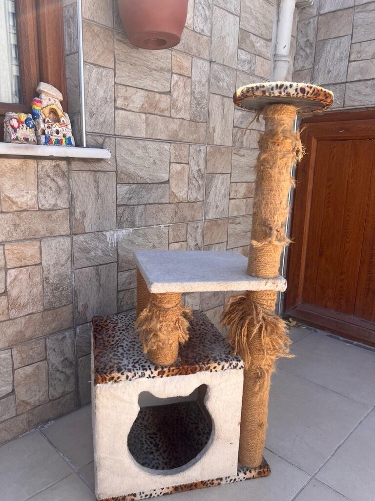 kedi evi - 5