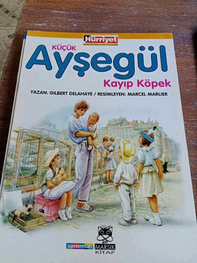 Ayşegül kitapları - 8