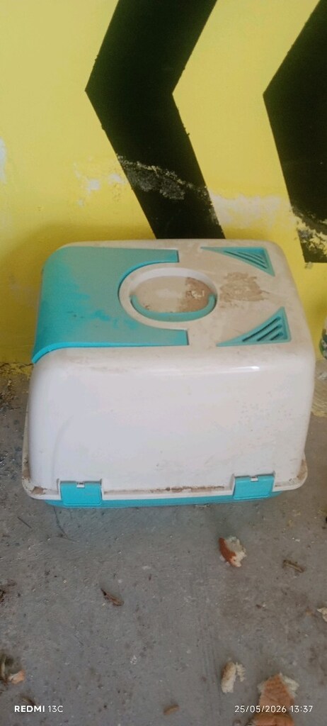 kedi yuvası - 5