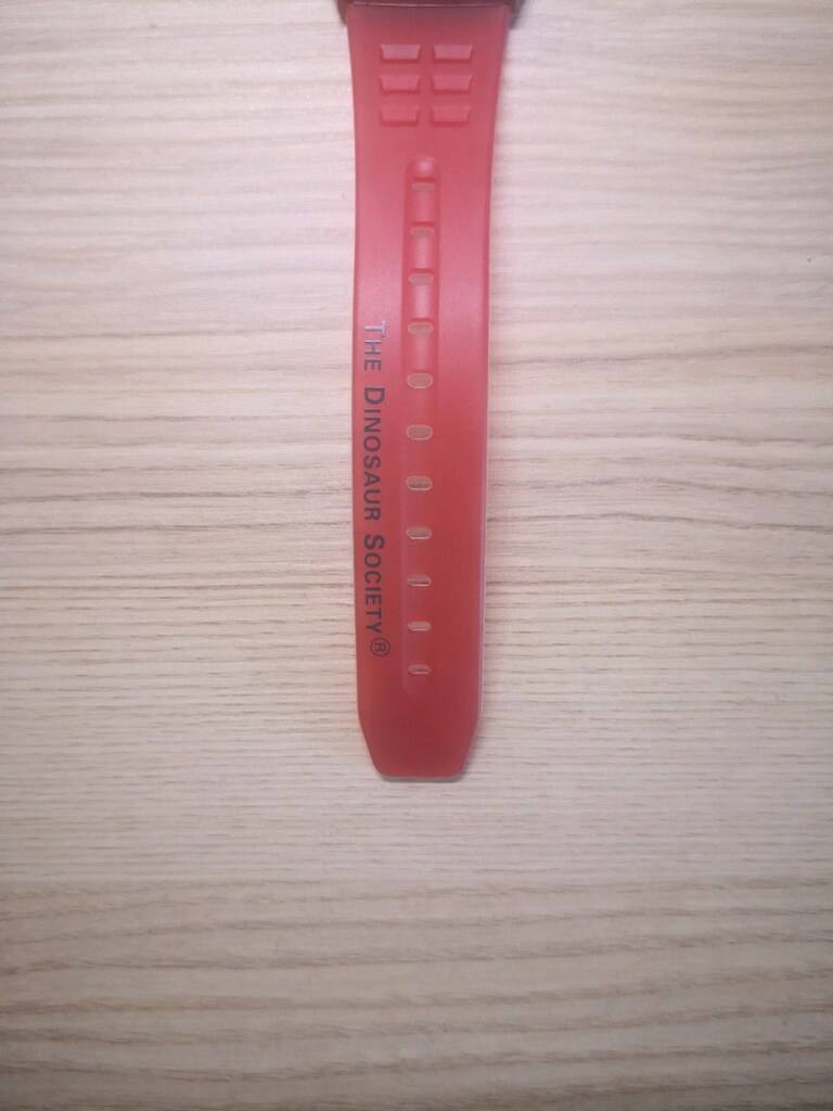 CASIO DBC-63 DINO ZONE - 9