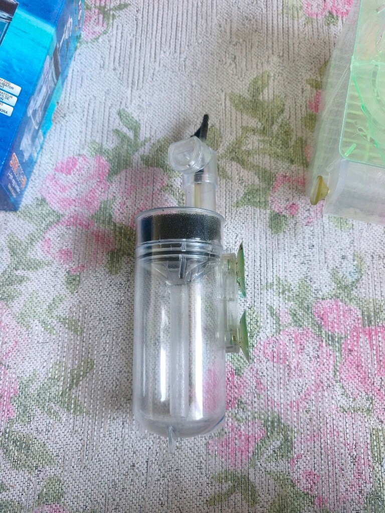Akvaryum yumurtalık ve yavruluk - 3