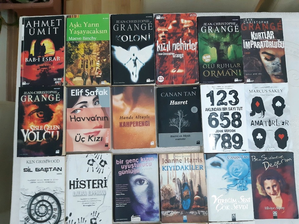 Doğan Kitap Altın Kitaplar Koridor Yayınları Roman Kitapları - 3