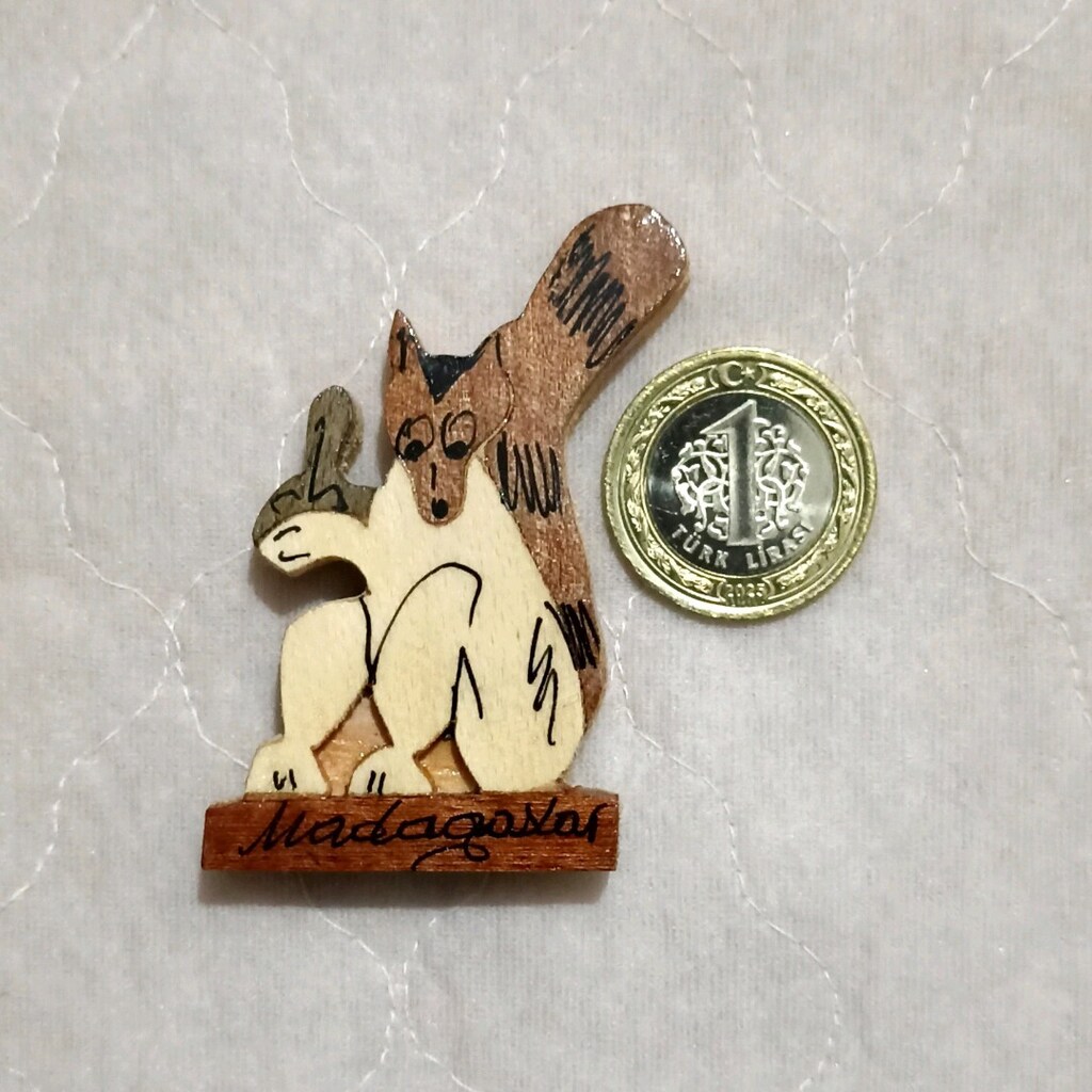 Madagaskar Ahşap Magnet - 2