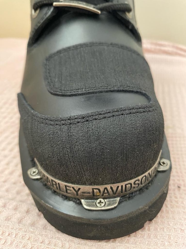 Harley Davidson Riddick Bot — görsel 17/17