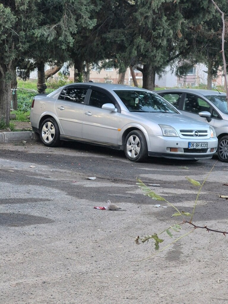 opel vectra c kasa 2004 confort - 3