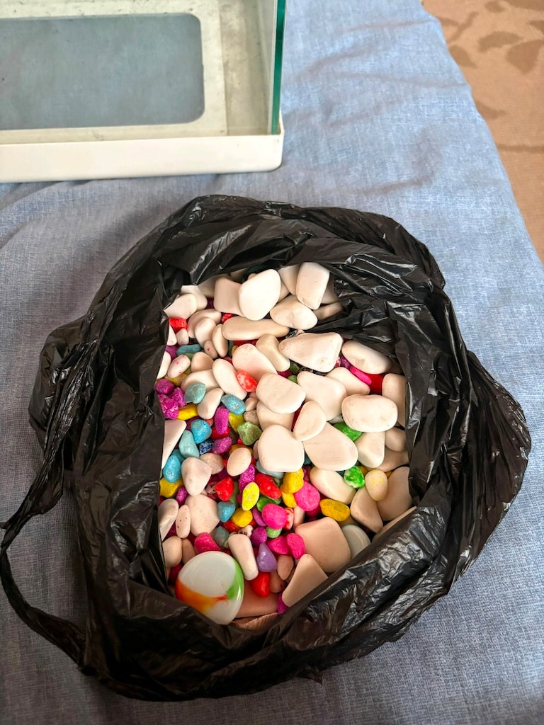 akvaryum set - 9