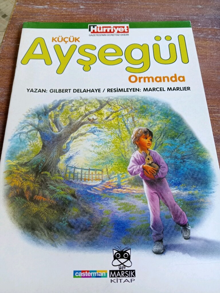 Ayşegül kitapları - 2
