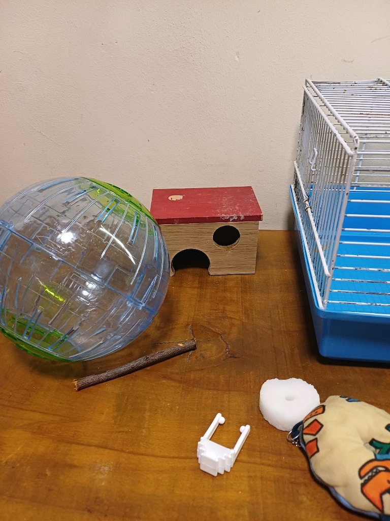 hamster kafes oyumcak - 3
