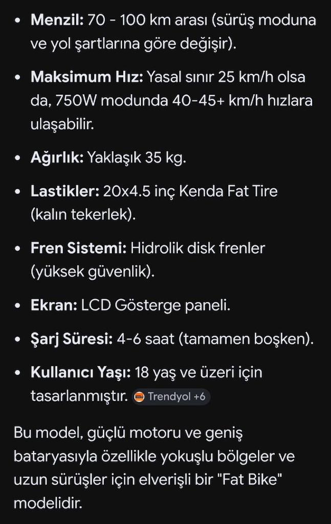 APE Ryder Bonobo (yurt dışı/off-road 750W versiyon Hidrolik disk fren - 5