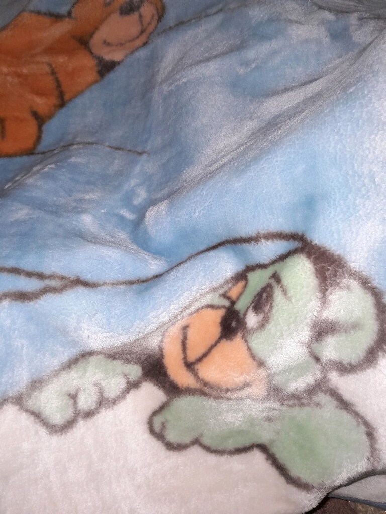 erkek çocuk battaniyesi - 2