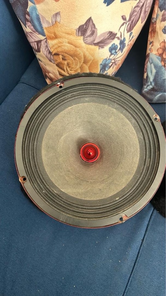 20 CM MİDRANGE VE PANZİLOTU - 4