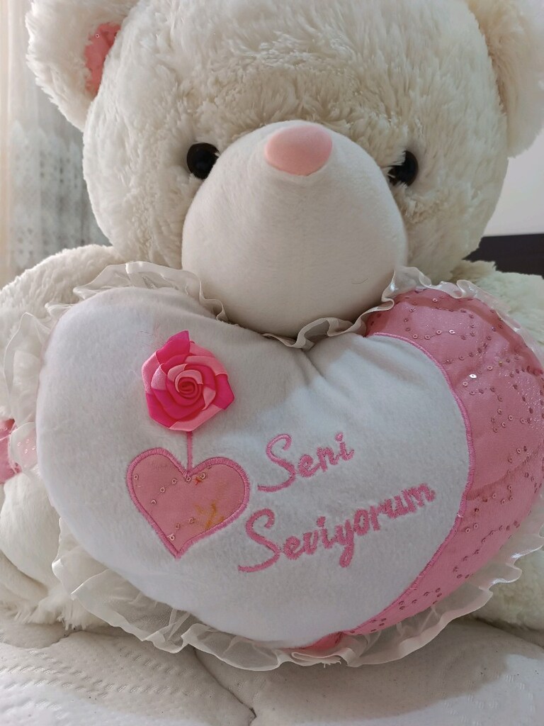 Sevimli renkli peluş ayıcıklar - 7