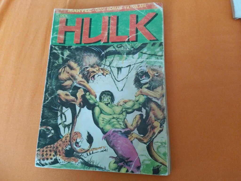 hulk ve fantastik dörtlü - 5