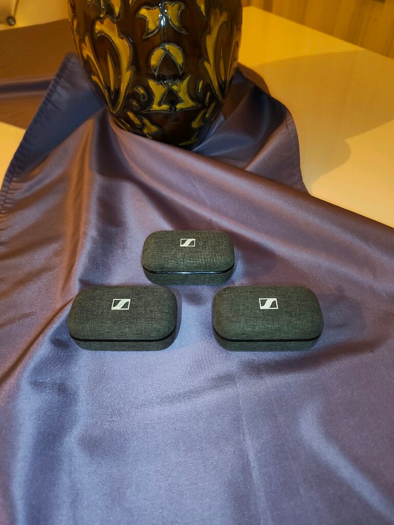 SENNHEİSER MOMENTUM TW2 TRUE WİRELESS EARBUDS - 5