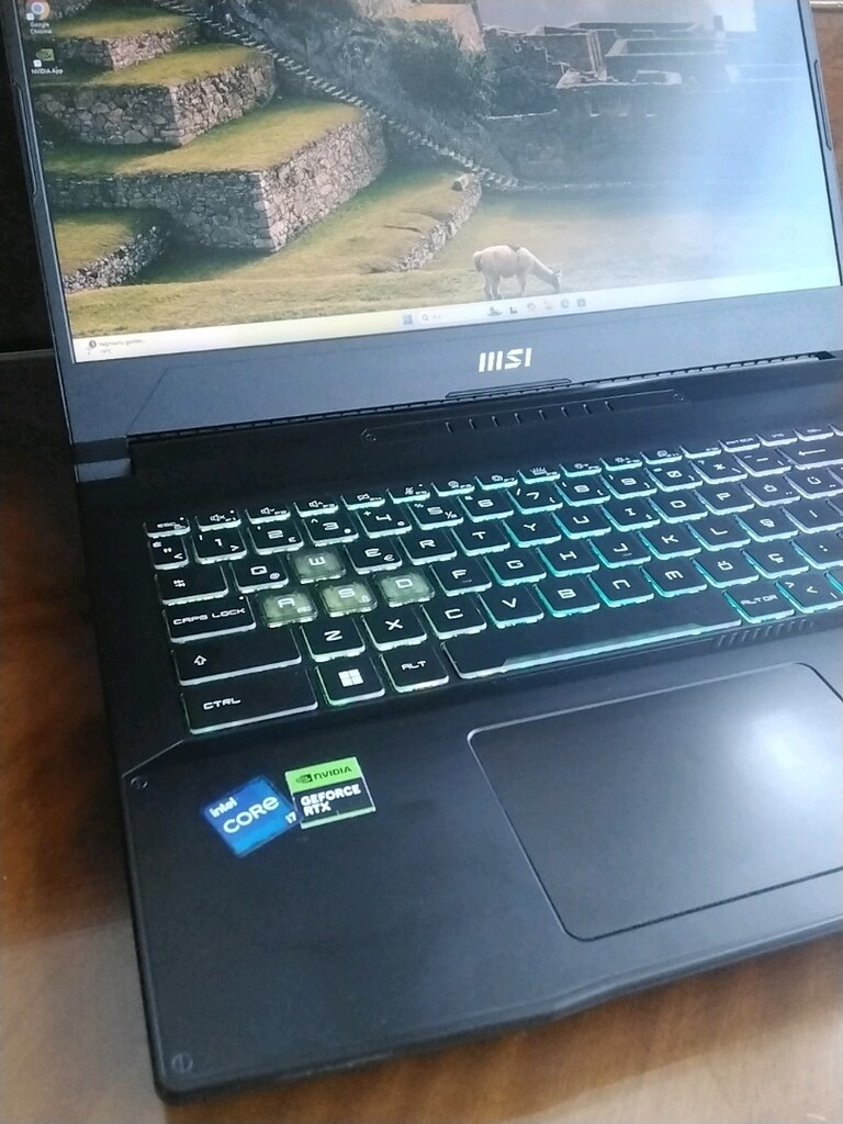 MSI Katana 15 B12V Notebook - 3