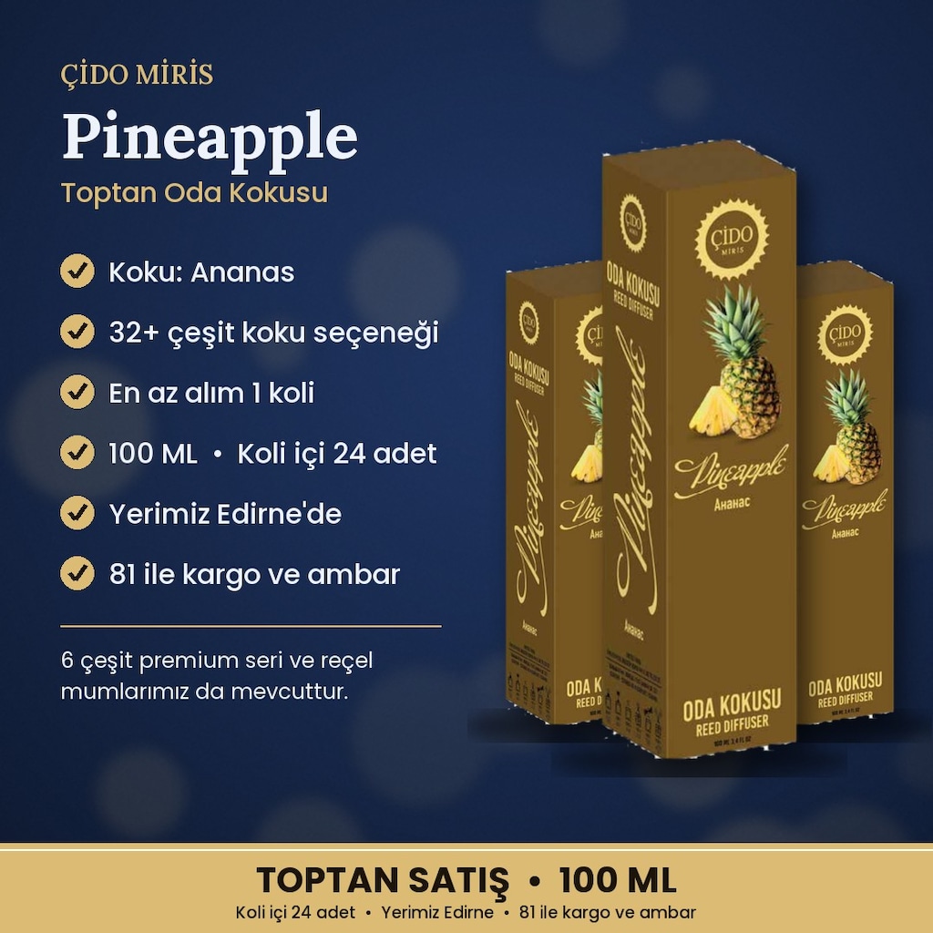 ANANAS ÇUBUKLU ODA KOKUSU 100ML ÇİDO MİRİS | TOPTAN SATIŞ - 2