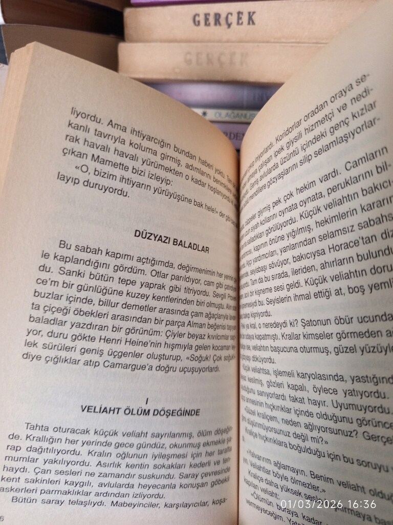 Değirmenimden Mektuplar (Dünya Klasikleri) - 4