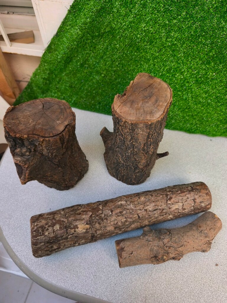 satılık iguana teraryum malzmeleri - 8