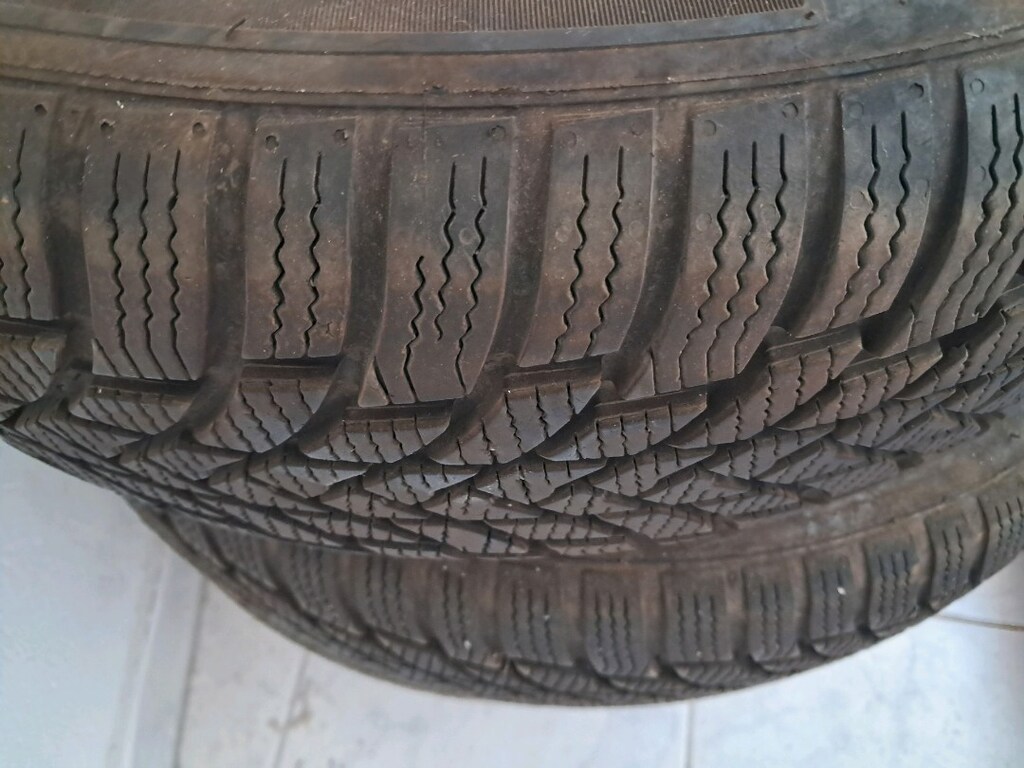 Kışlık kastik - 4