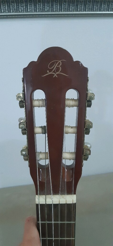 gitar elektro - 5