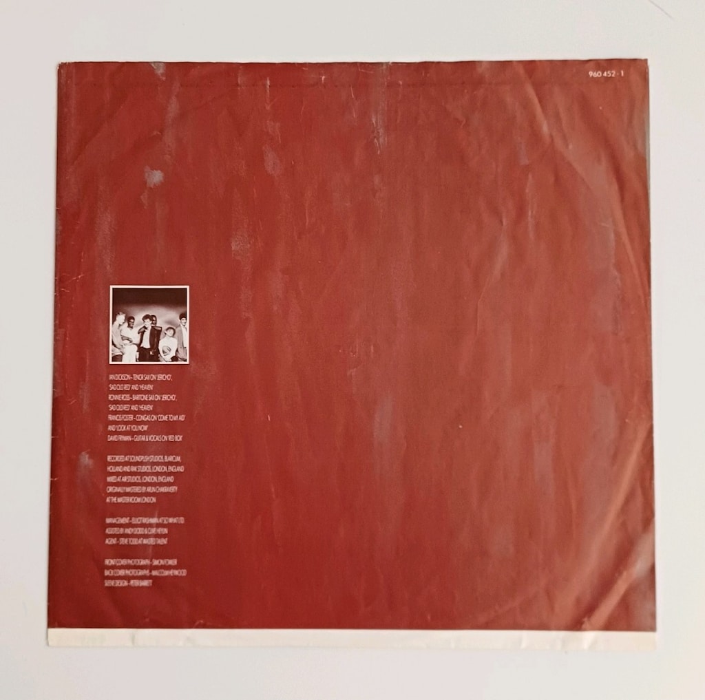 SİMPLY RED PİCTURE BOOK DÖNEM LP PLAK 33RPM - 3