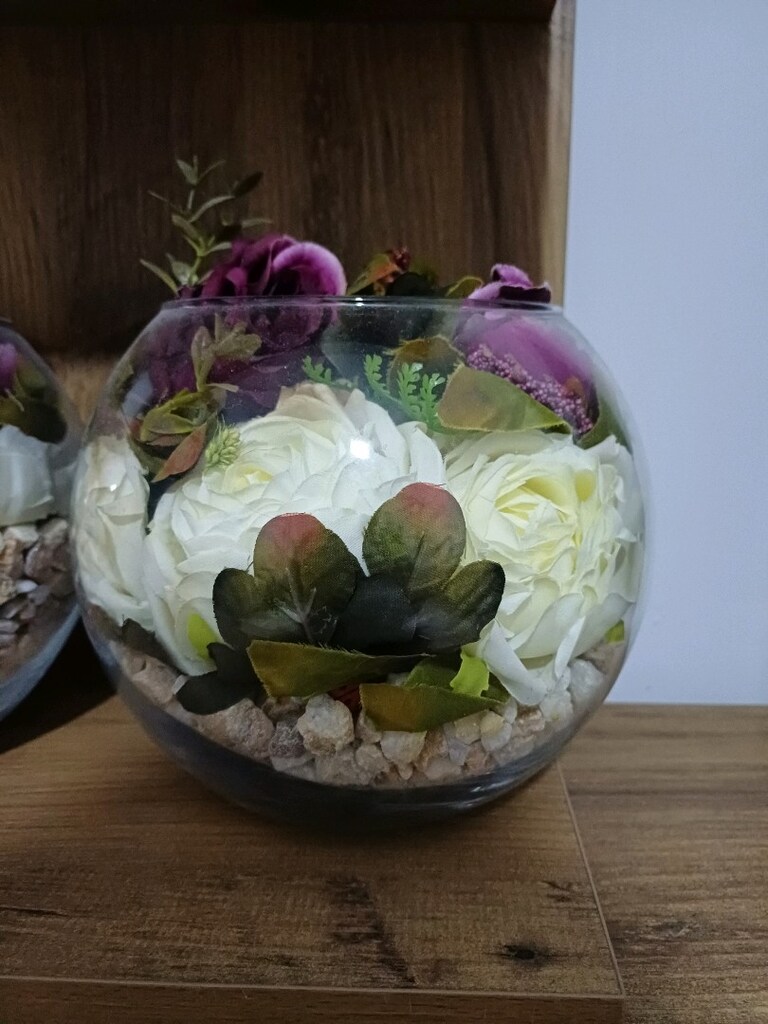 akvaryum fanus - 3