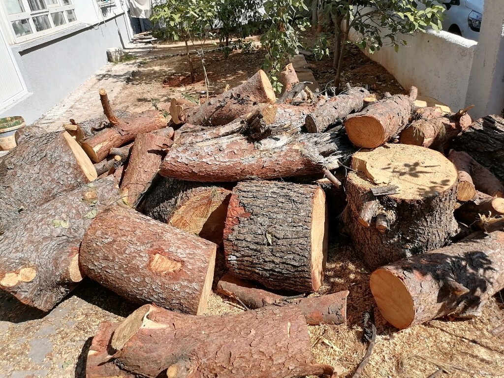 Odun - 6