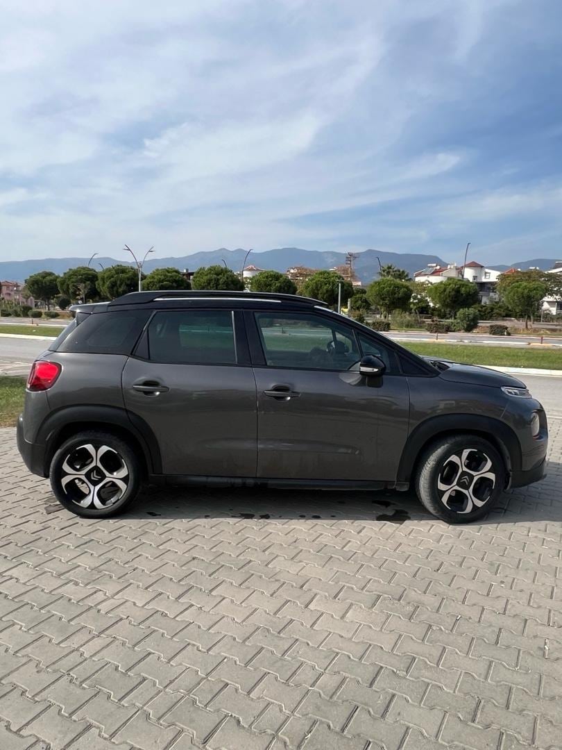 otomatik sanuf lu cam tavan Masrafsız - 6