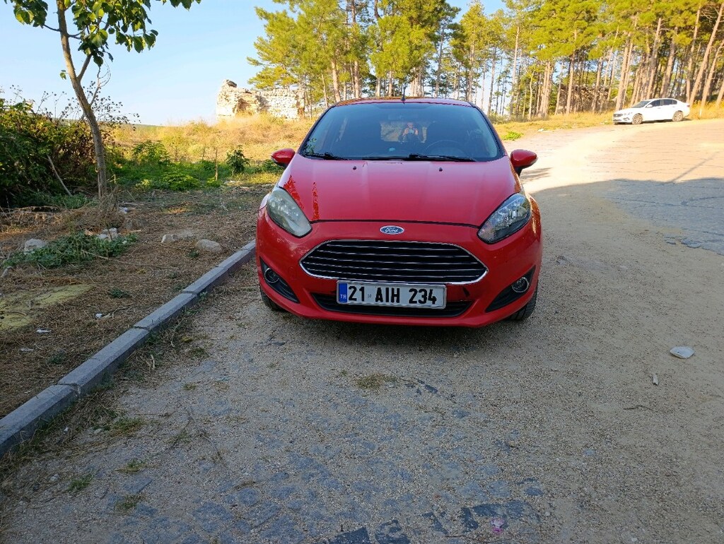 KIRMIZI FARKI FİESTA 2014 - 13