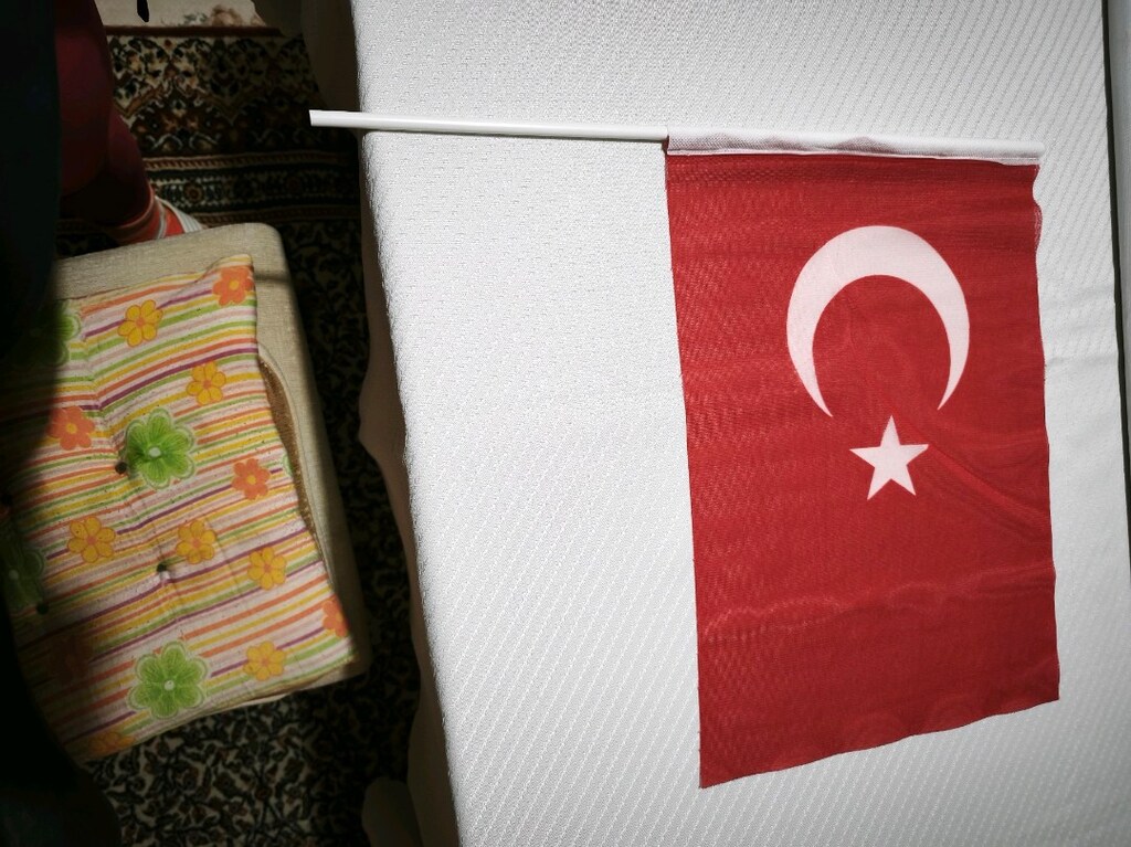 Kağıt Türk Bayrağı saplı 30,5*20,5 cm. - 7
