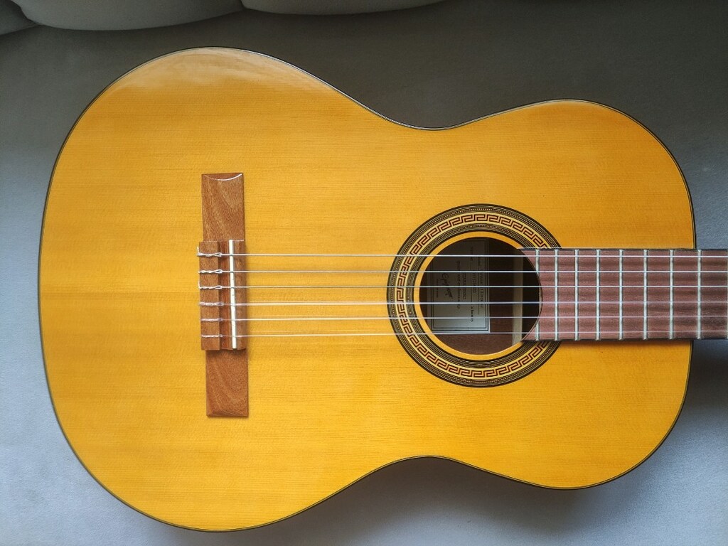 Epiphone PRO-1 2.0 Klasik Gitar - 2